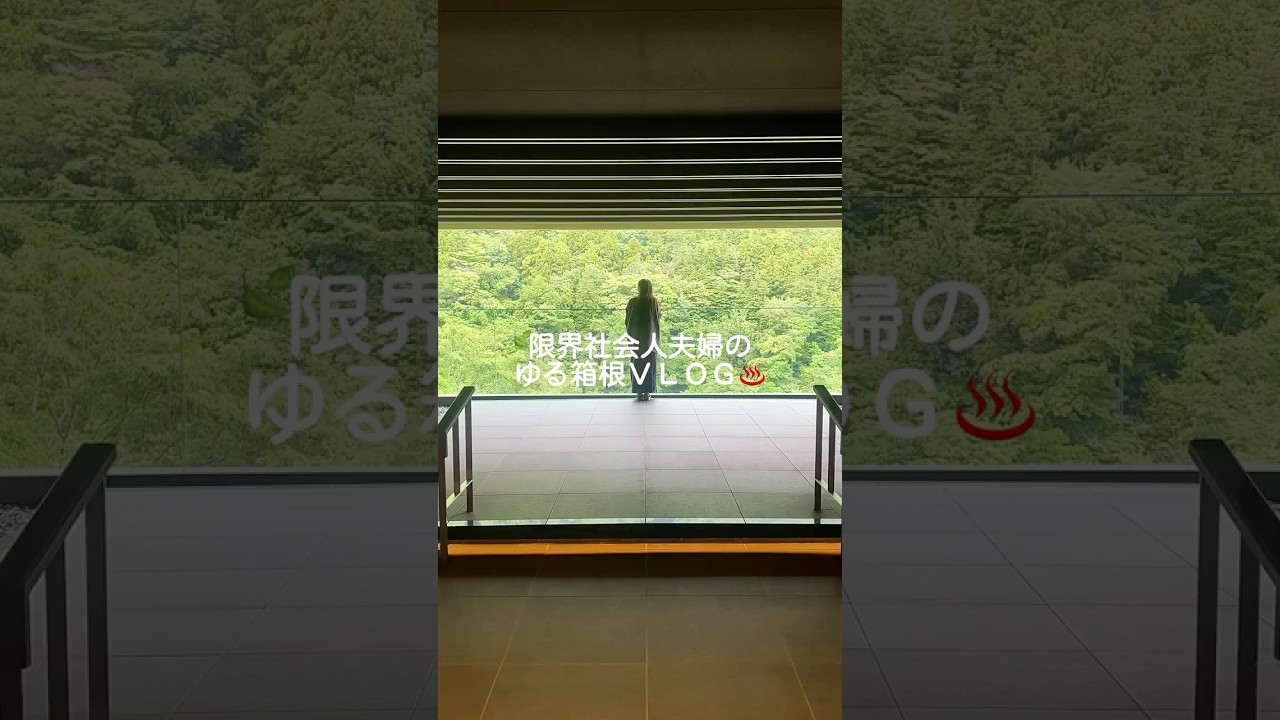 2年目夫婦の箱根旅行🚃♨️🧳いいお宿過ぎたദ്ദിㅠ ‧̫ ㅠ✨📍はつはな 箱根湯本#箱根 #日常vlog  #夫婦の日常  #Hakone #japantravel