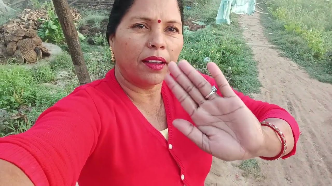 आज मैंने बनाया आलू और मेथी की सब्जी