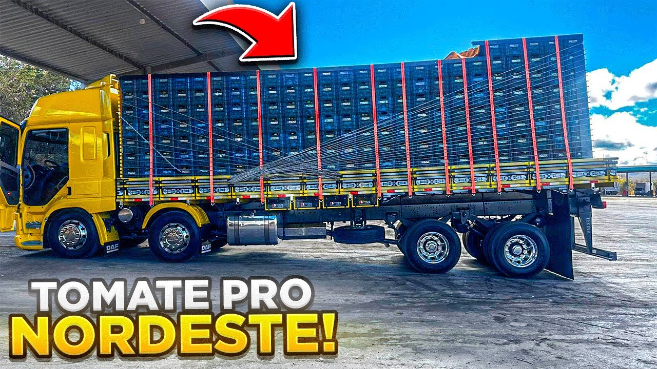 DO INTERIOR AO NORDESTE: Tomate, Estrada e o Desempenho do Dmenor! 🔥🚛