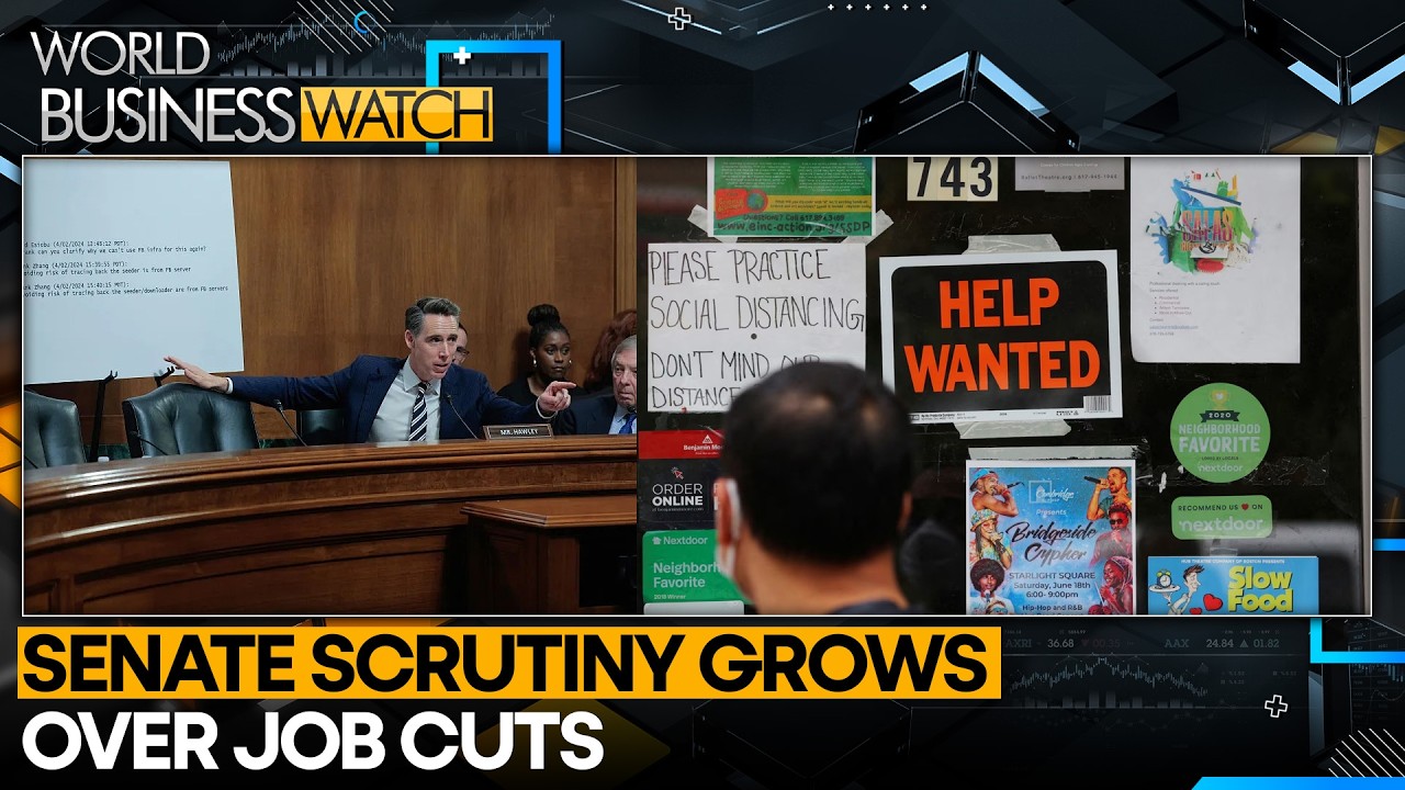 US Corporate Layoffs Trigger Political Backlash | WION Business Watch