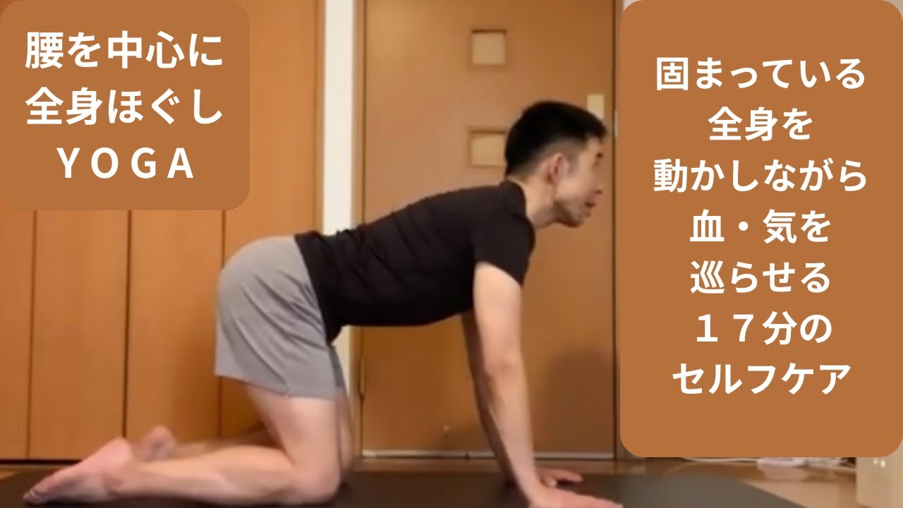 【１７分】腰を中心に全身ほぐしYOGA 