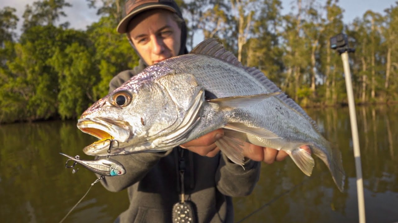 BFS Fishing with a VIBE