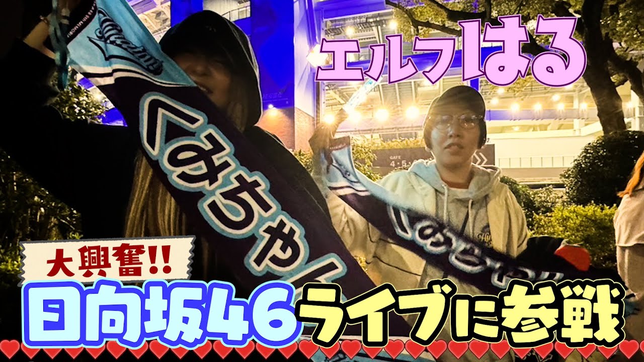 【推し活】日向坂４６ライブに参戦…エルフ・はるとお出かけ🤍#7