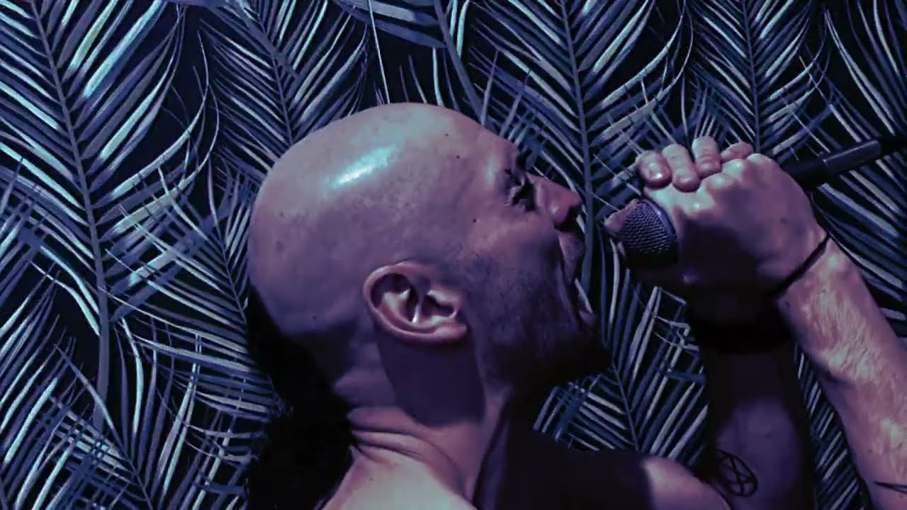 STONEFLIES - On Scabbed Wings [Official Music Video]