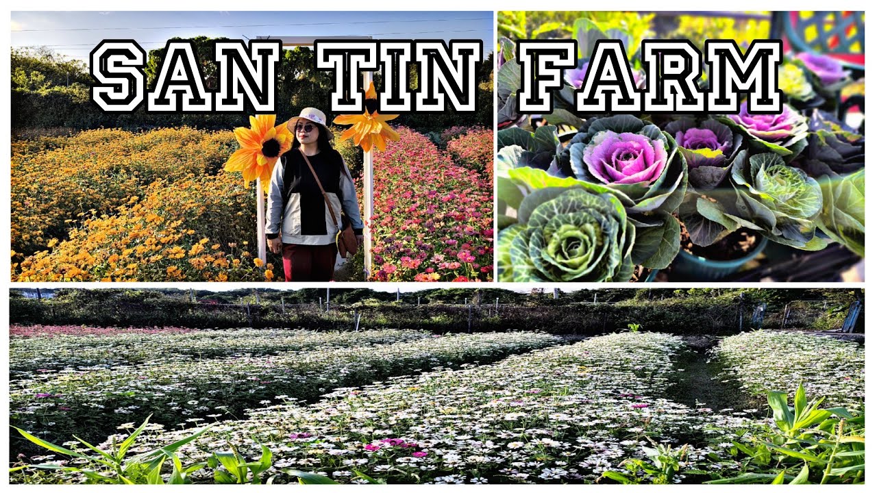 Shun Sum Yuen Farm