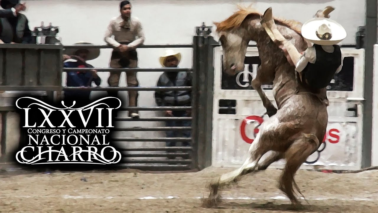 JINETEO DE YEGUA dia 20 semifinales - Congreso Aguascalientes 2021