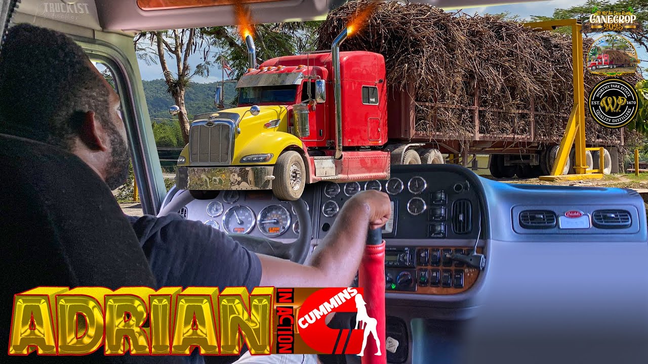 Jamaica Cane Trucker | Adrian In Action | Shifting 18 Speed | Peterbilt 386 | Hauling Cane Crop