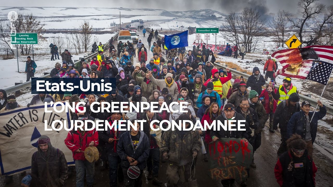Etats-Unis : l'ONG Greenpeace lourdement condamnée - RTBF Info