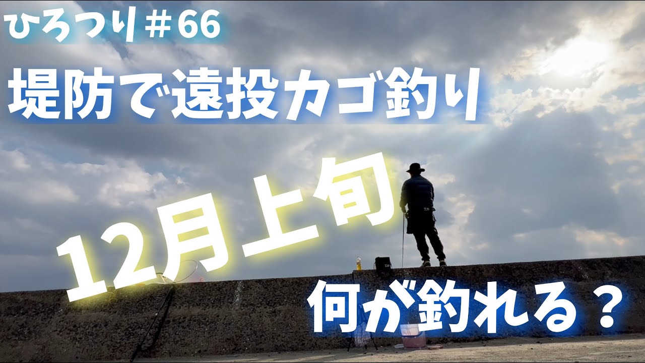 【旧ひろつり】【ライトカゴ釣り】堤防で遠投カゴ釣り　12月上旬　何が釣れる？