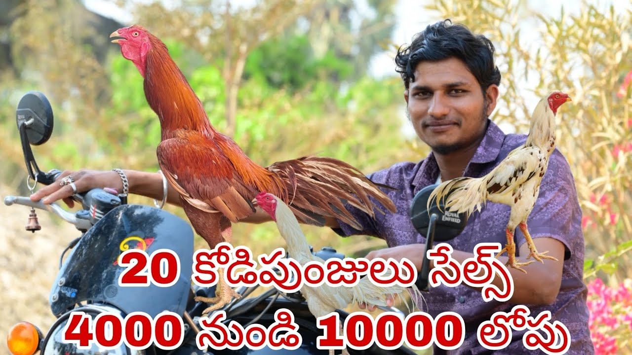 9100371557 పూర్తి వివరాలు కు వాట్సాప్ ఓన్లీ రావణా సదుపాయము ఉంది 15/2/2023