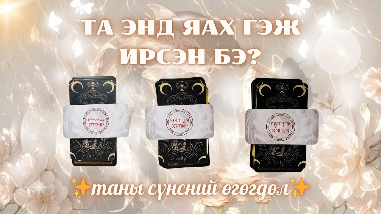 Таны сүнсний өгөгдөл ба зорилго | Тарот мэргэ 🦋✨💫