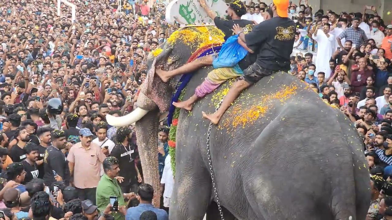 Chirakkal Kalidasan mass entry @ Pazhanji Perunnal 2022
