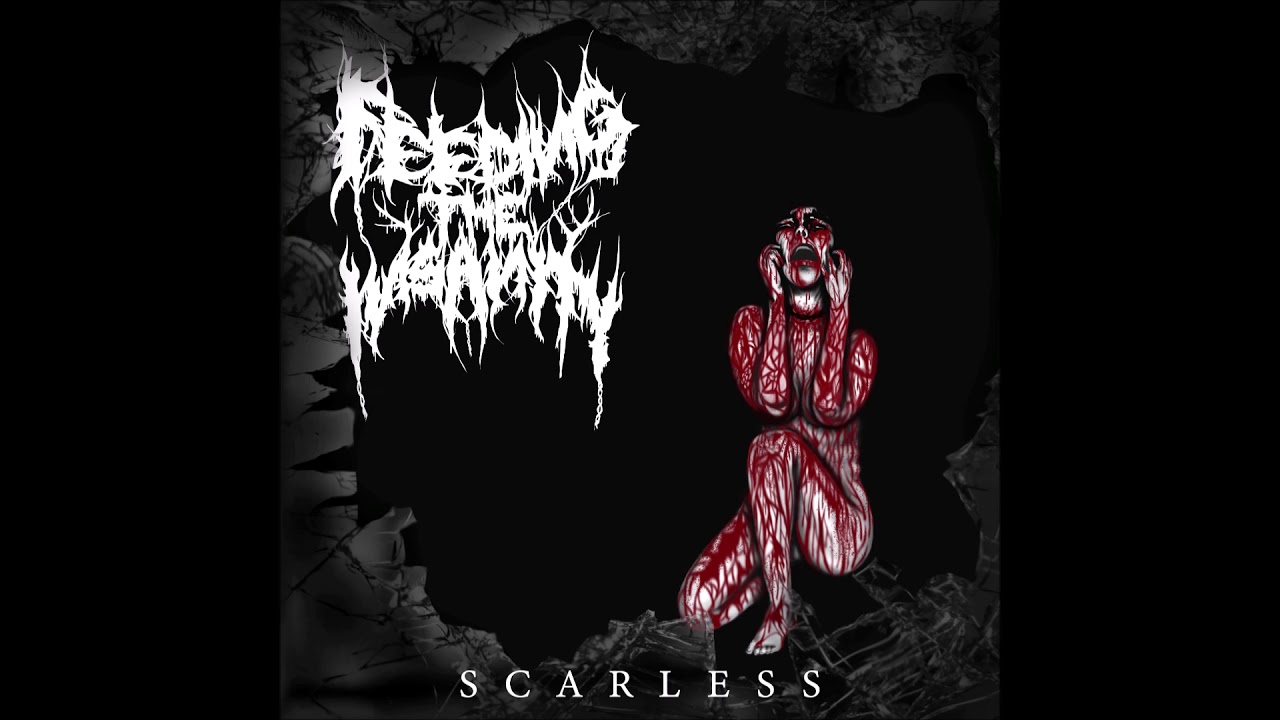 Feeding The Insanity - No One Sleeps While You Are Alive