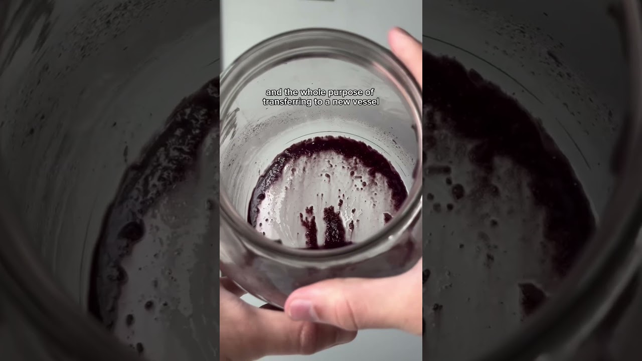 HOMEMADE BLUEBERRY MEAD CONTINUED