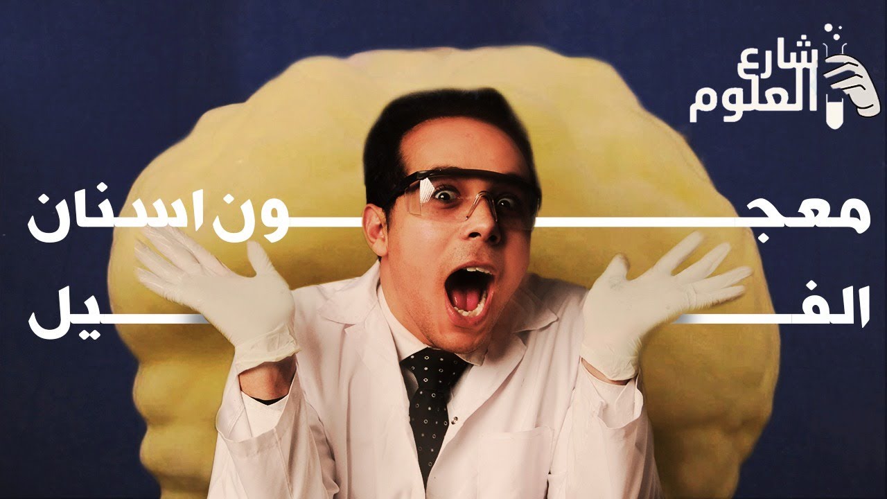 الحلقة الثانية: تجربة معجون سنان الفيل