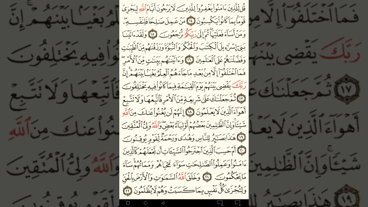 ماهر المعيقلي سورة الجاثية مكتوبة من الآية 1 صفحة 499 إلي الآية 37 صفحة 502