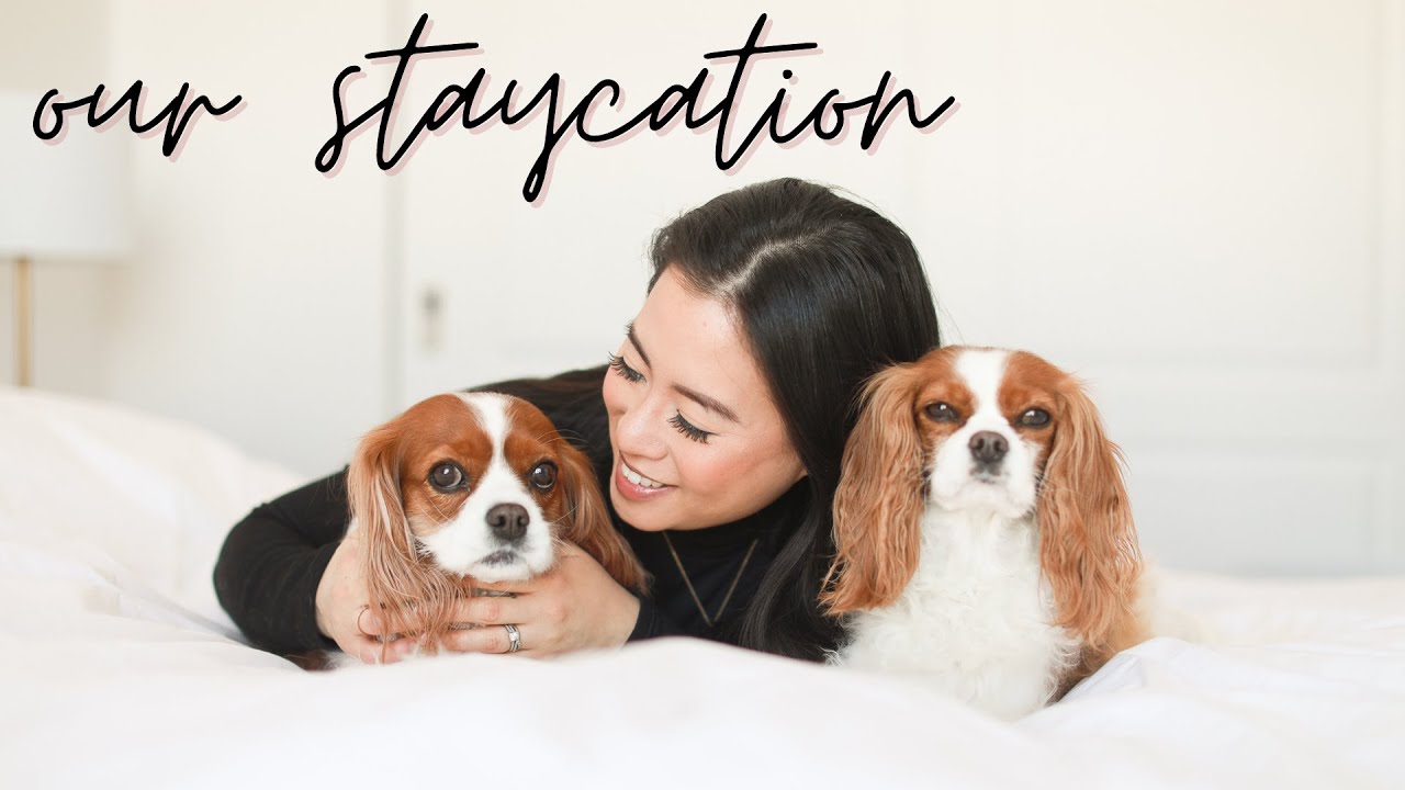 OUR STAYCATION IN MONTREAL // Follow Us Around