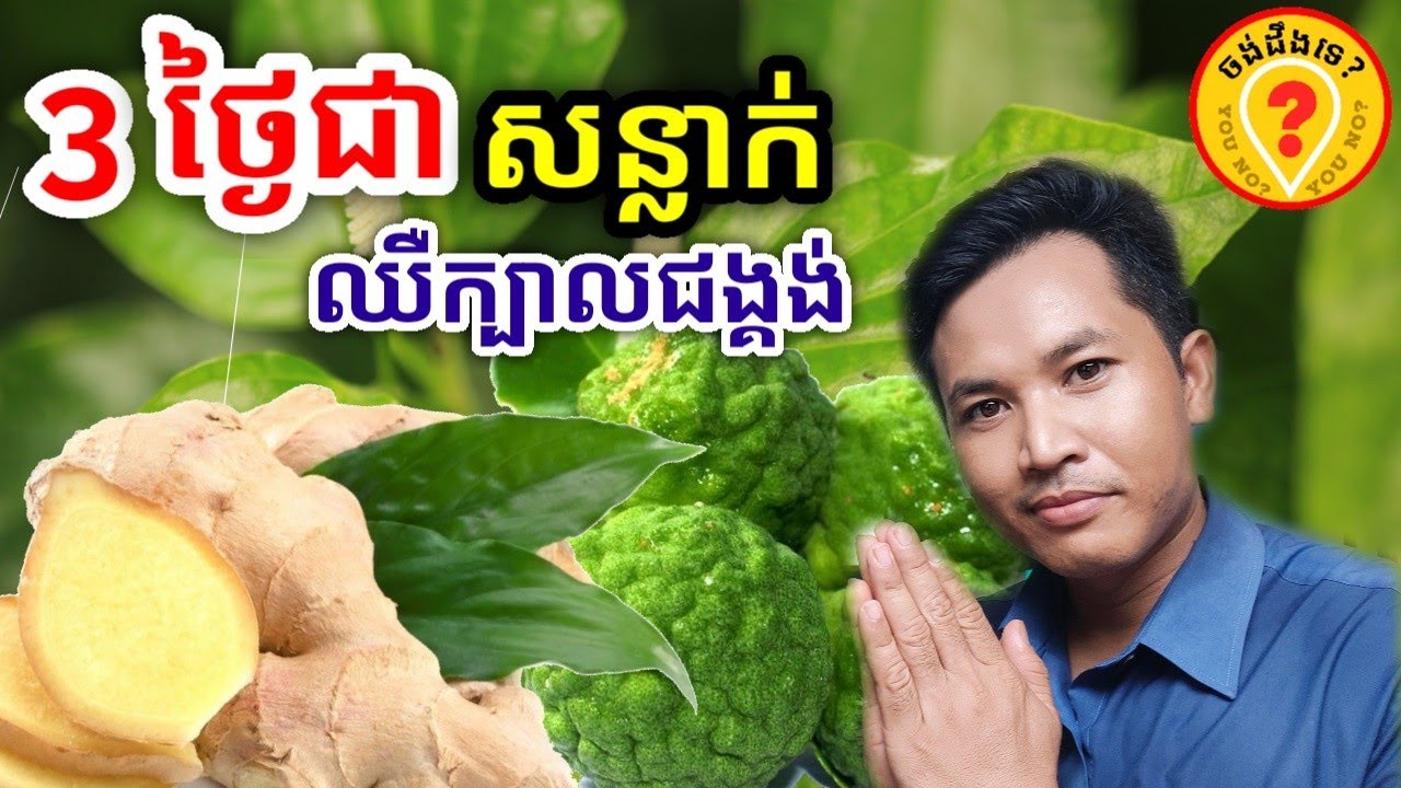 ថ្នាំឈឺសន្លាក់ ថ្នាំព្យាបាលសន្លាក់ ថ្នាំឈឺជង្គង់ Best Khmer Traditional Medical Plants 2022