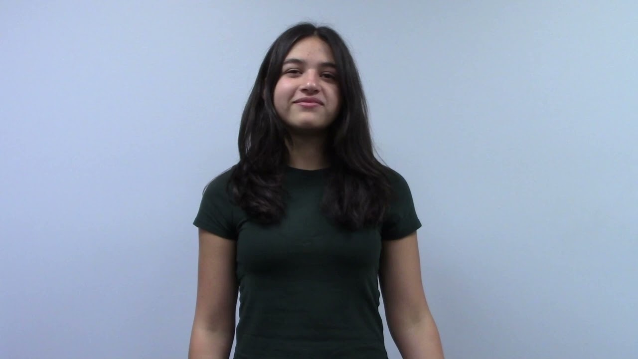 ASL Video #8: Eyebrow Punctuation (Grammar pt. 2)