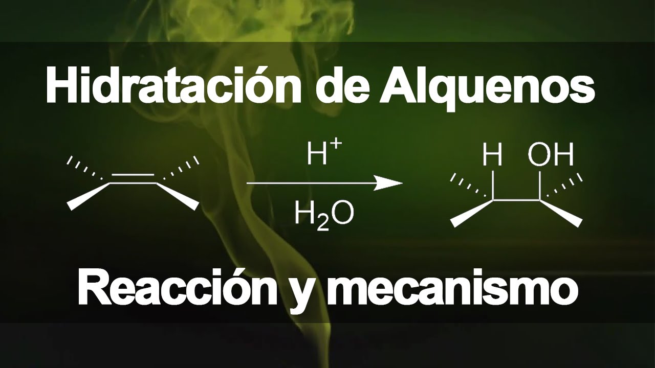 Hidratacion de alquenos | Qu&iacute;mica Org&aacute;nica
