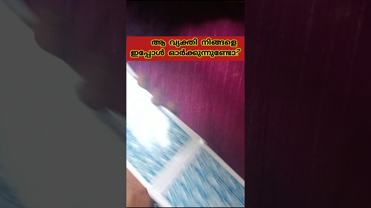 നിങ്ങളെ തേടി ഒരു സന്തോഷ വാർത്ത വരുമോ? | Malayalam Tarot Card Reading ✨