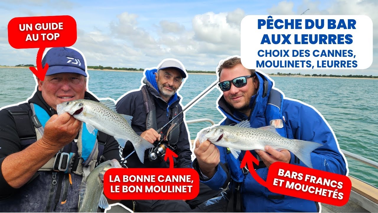 Pêche du BAR aux leurres avec un pro guide DAIWA : matériels et conseils !