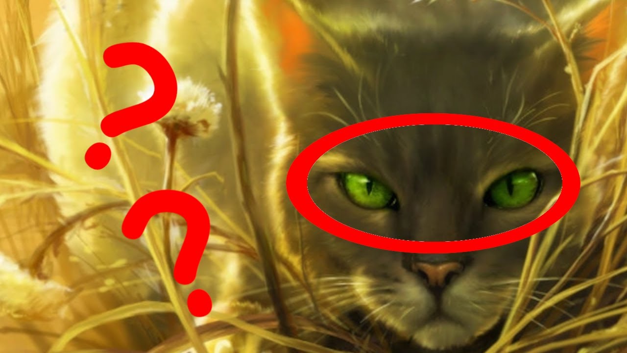 What Color are Dovewing's Eyes REALLY?