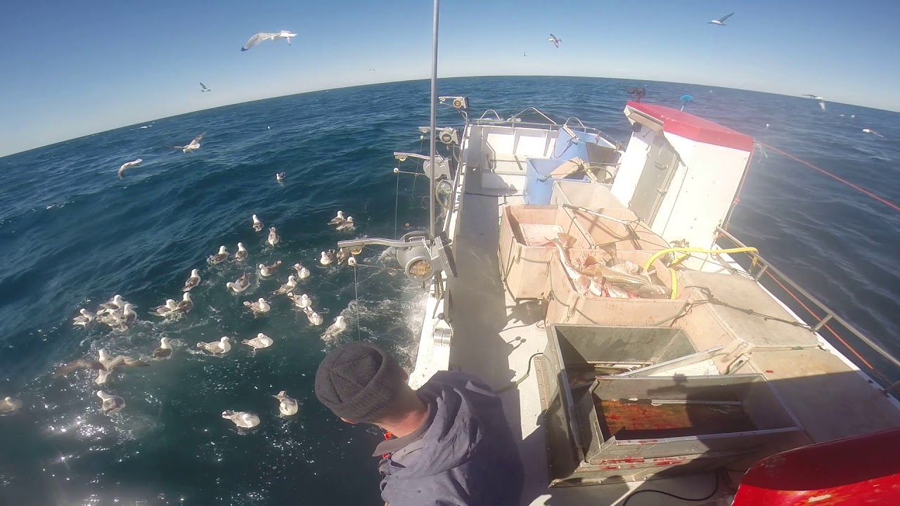 Handfæraveiðar // hand line fishing