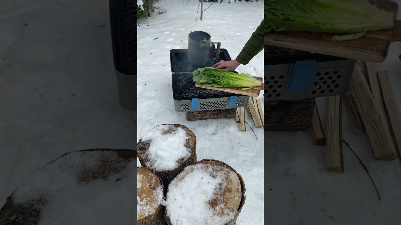 Grilled Caesar salad - create a lightly charred texture