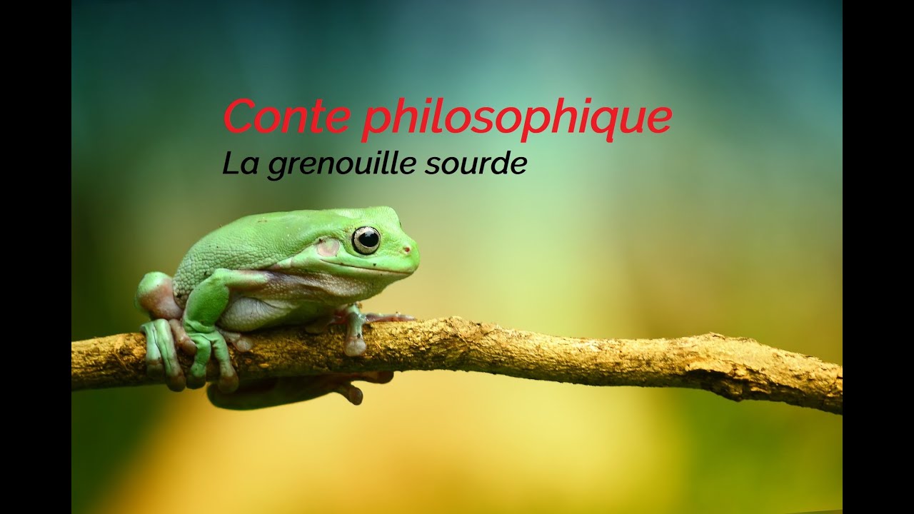 Conte philosophique - la grenouille sourde
