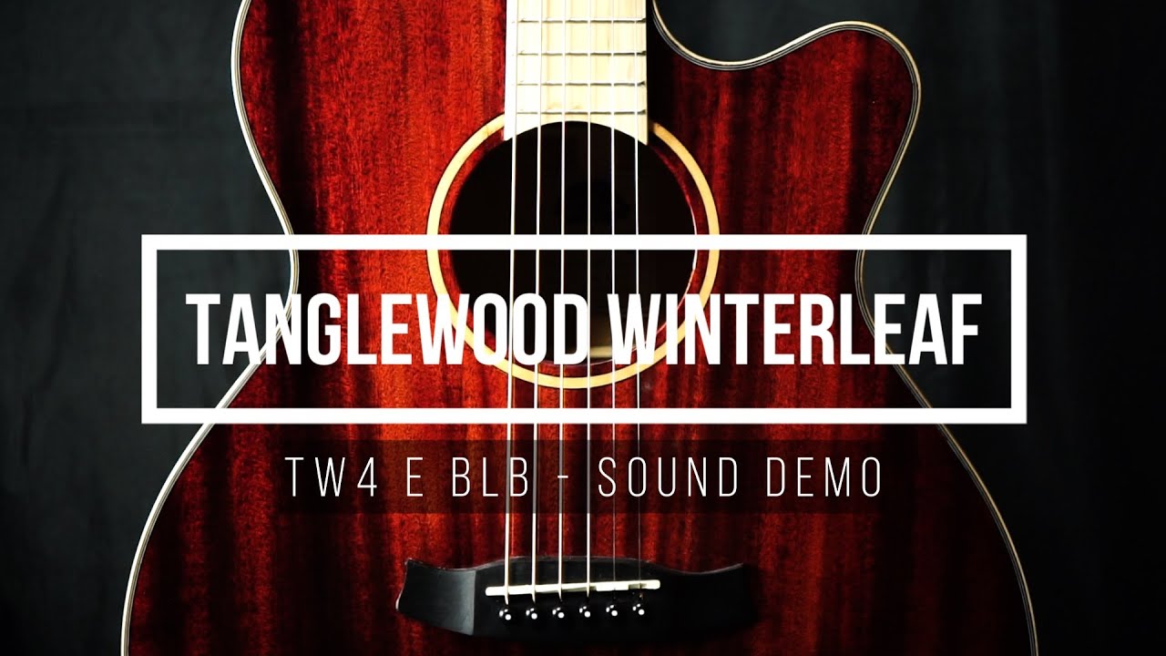 [No Talking] Tanglewood Winterleaf TW4 E BLB - Sound Demo by Tobie Holland