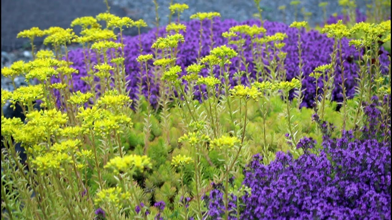 June Garden Tour!/Garden Style nw