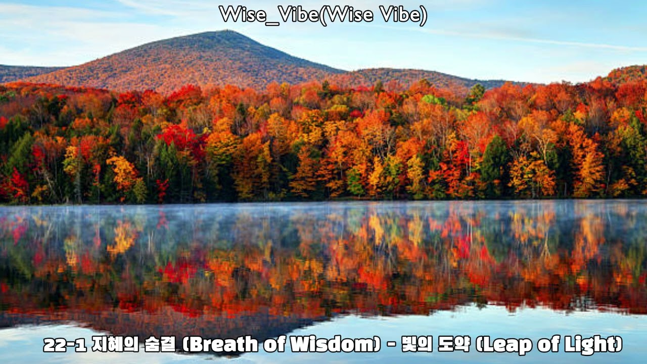 Millennial Roots - The Power of Persistence | Wise Vibe 21-1천년의 뿌리 - 끈기의 힘 | 와이즈바이브 21-1