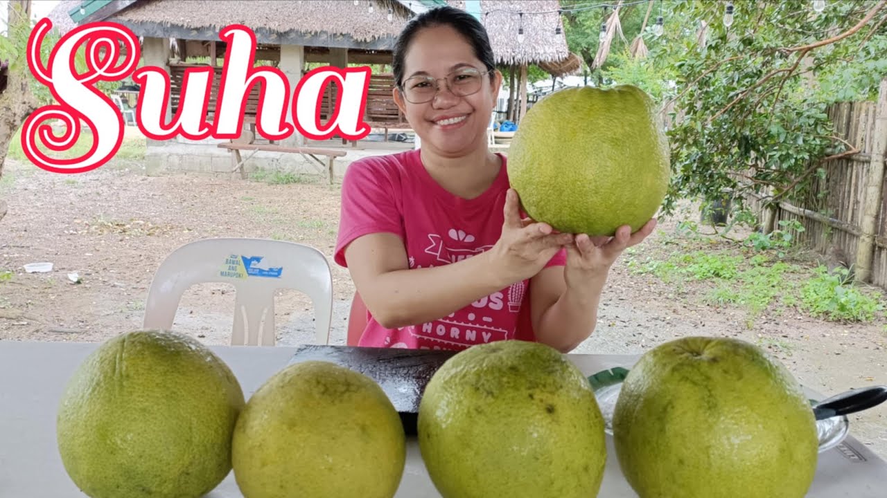 VLOG 551: ANIHIN ANG SUHA BAGO ANG BAGYONG TINO