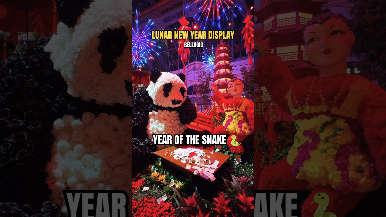 BELLAGIO CONSERVATORY display for Lunar Year 🐍