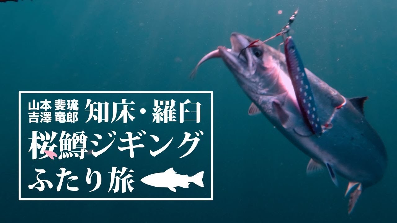 Ловля симы на джиг в экстремально холодных условиях в Раусу, Хоккайдо!