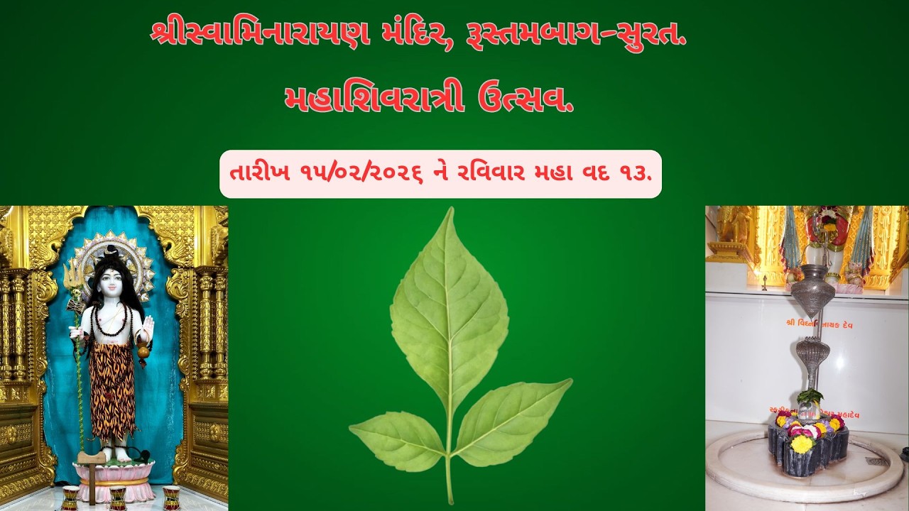 Rustambag Live katha ll 15-02-2026 ll 11:30 am. મહાશિવરાત્રી ઉત્સવ આરતી .