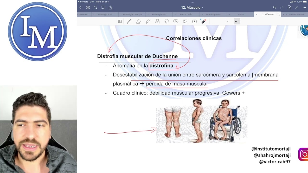 Fisiología clase 12.2 | Músculo Esquelético 2