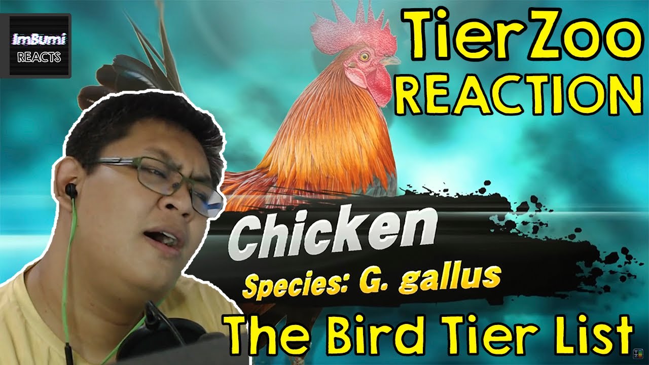 The Bird Tier List | TierZoo | ImBumi Reaction