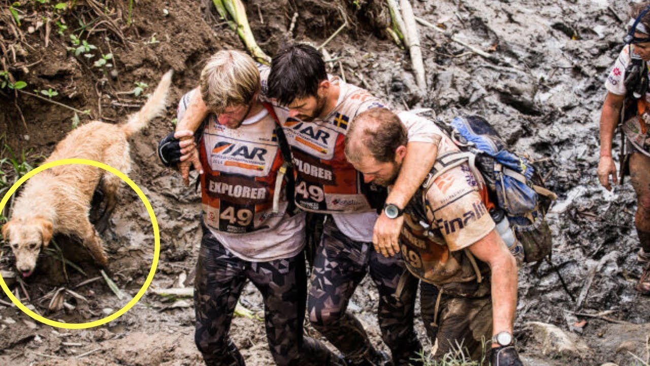 This Abandoned Dog Joins An Adventure Team, Shocks The World!