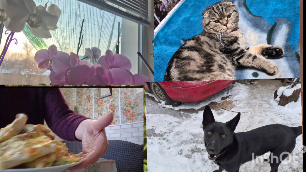 Перекуси з лаваша приготувала//Хребет засмажила//