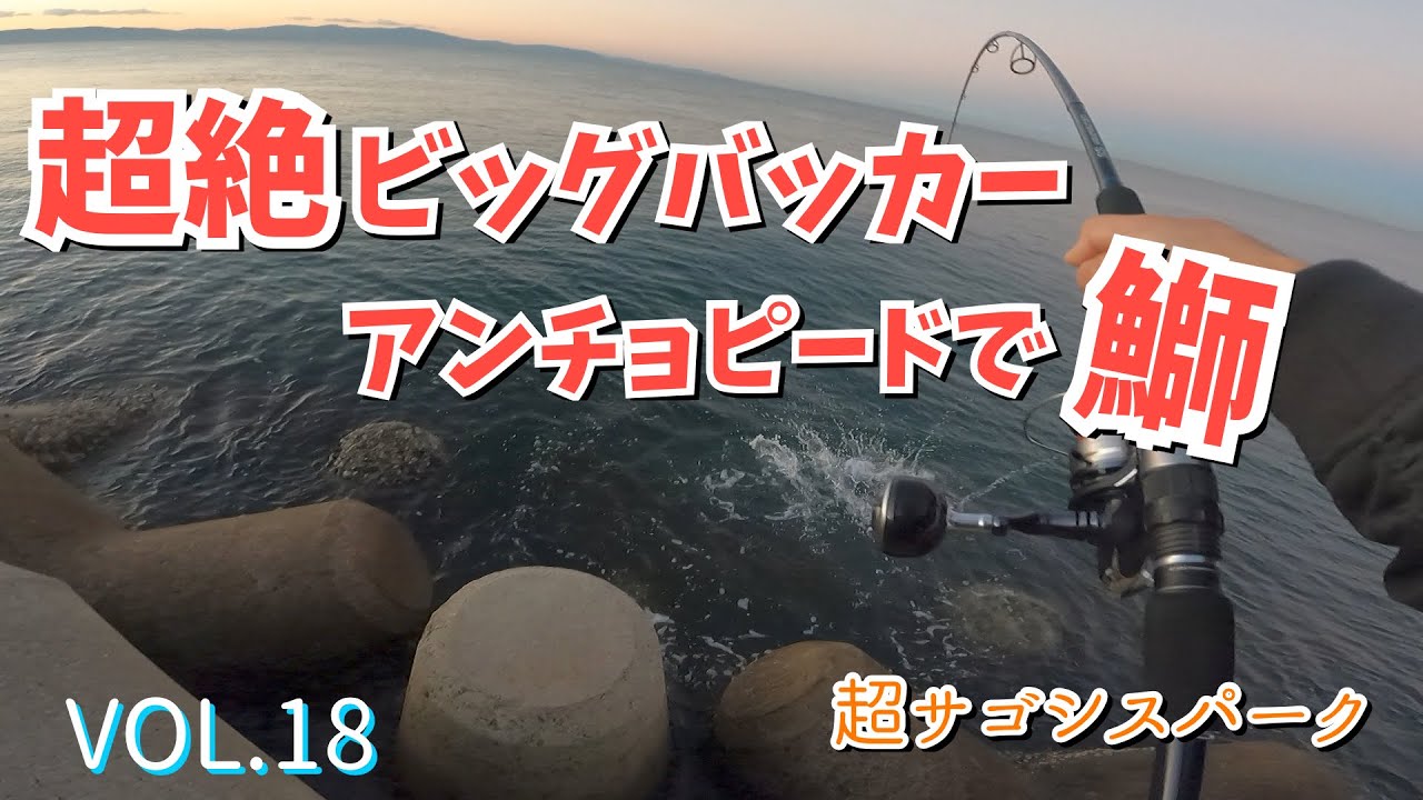 超絶ビッグバッカー！アンチョピードで鰤【青物VOL.18】