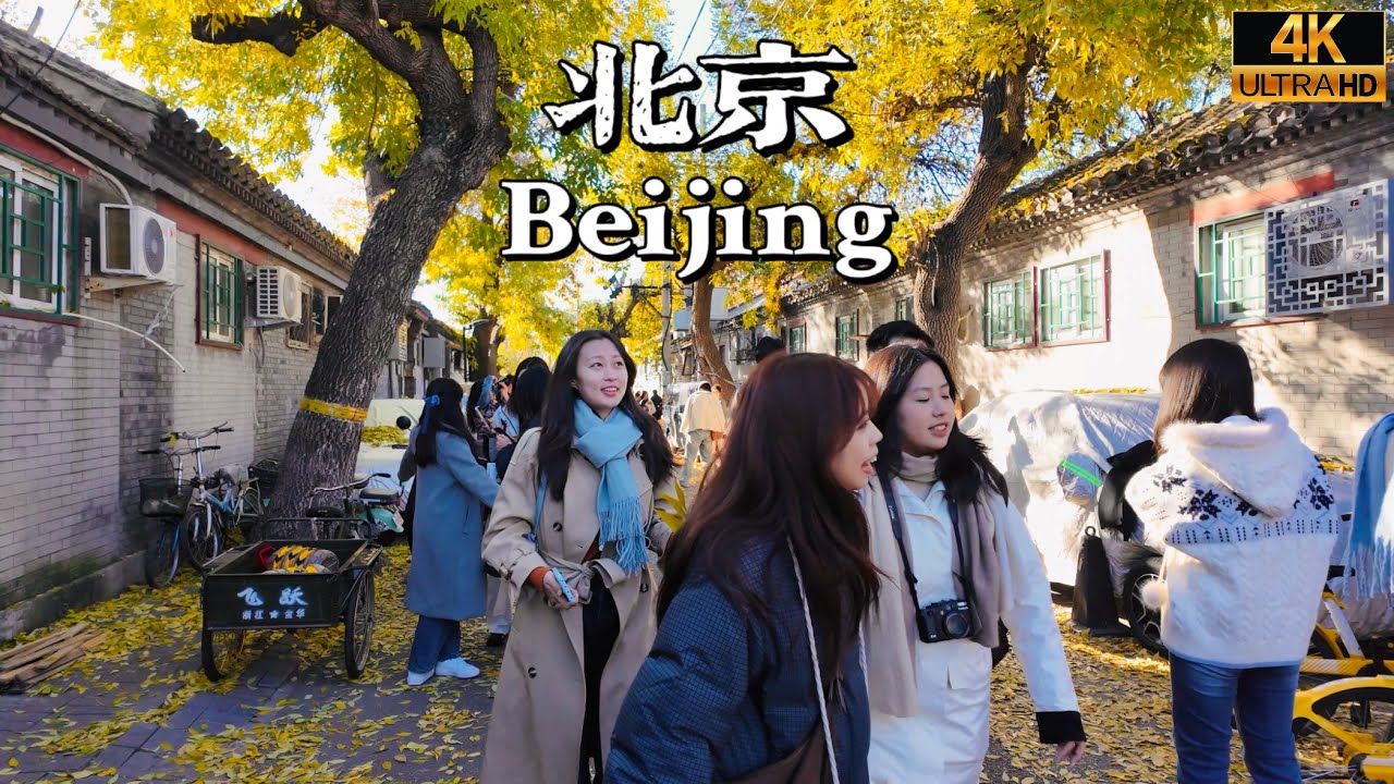 Beijing Walking | The Most Beautiful Season | Autumn in Beijing's Hutongs is So Beautiful | 4K