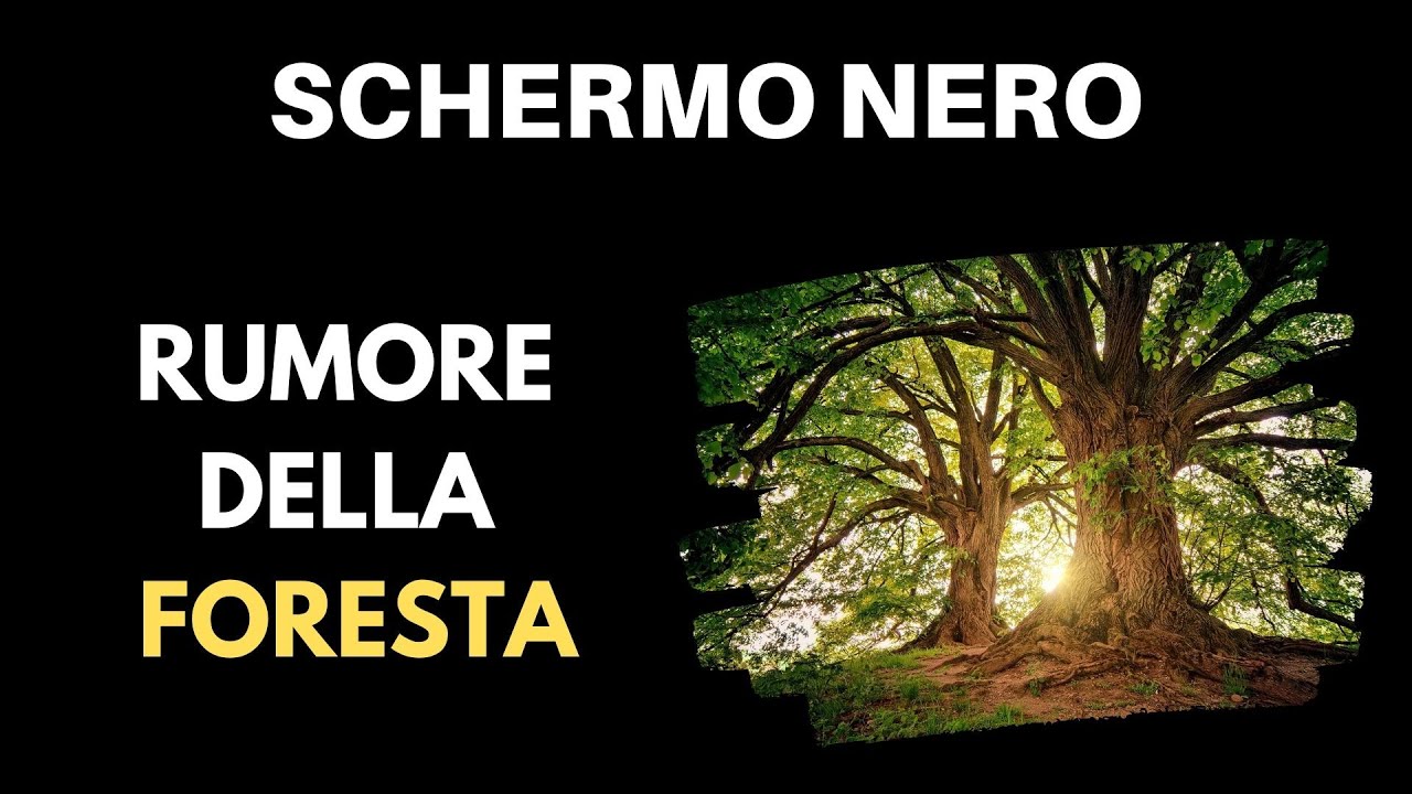 Suoni Della FORESTA | Schermo Nero ⚫🌳 [ASMR Rumore Bianco] 10 Ore Per Dormire