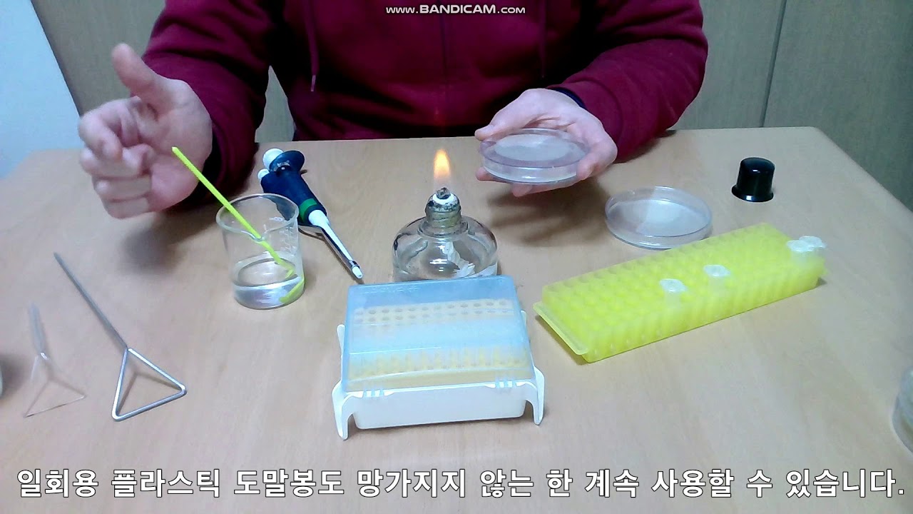 미생물 배지 도말법 1