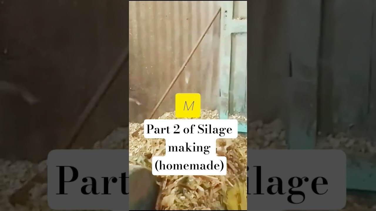 POV: homemade Improvedhay making #fypシ゚viral #duet#shortsviral#foryoushorts#likers#creatorcollective