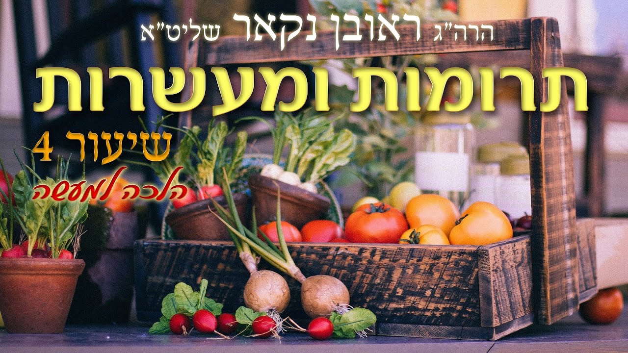 הגאון הרב ראובן נקאר שליט