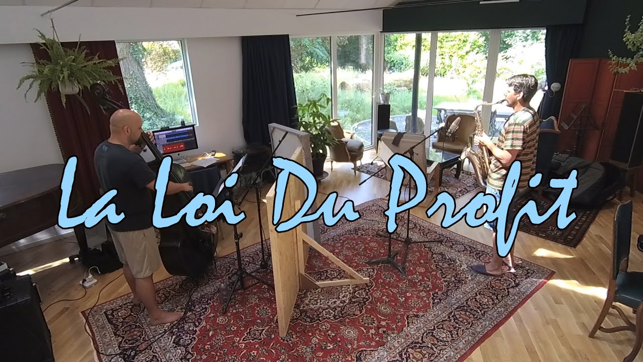 La Loi Du Profit. Boris Schmidt, Bruno Grollet