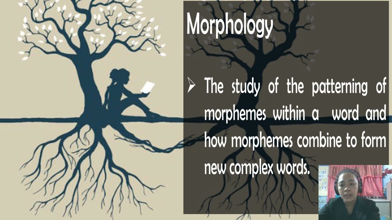 MORPHOLOGICAL TYPOLOGY