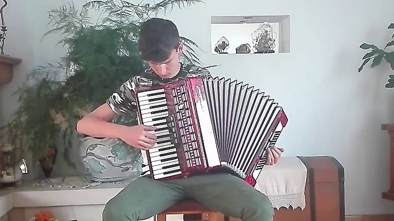 Despacito - ( accordion cover )